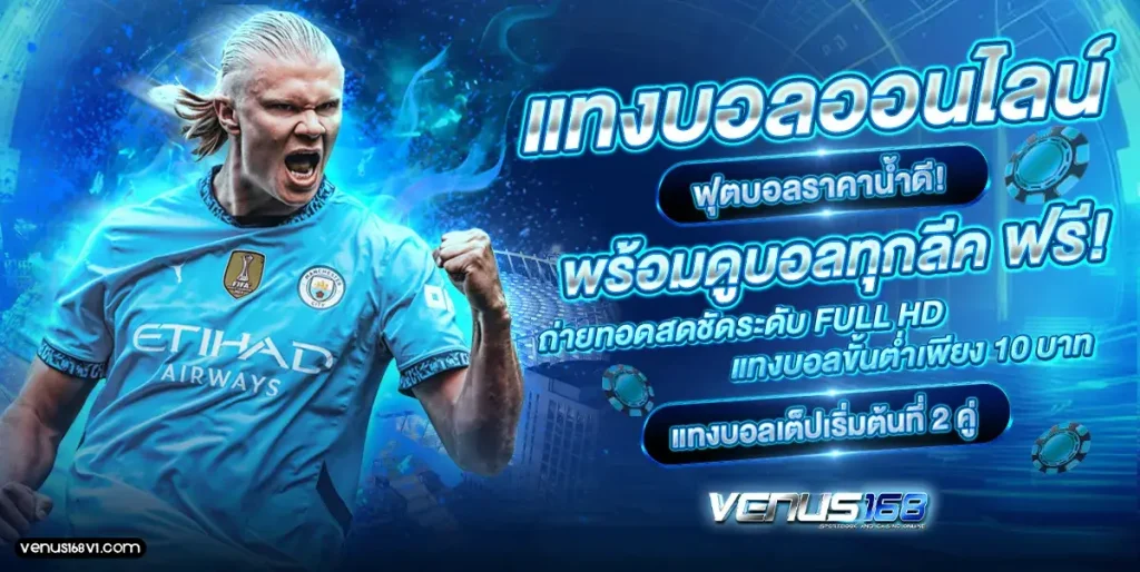 โปรโมชั่น venus168